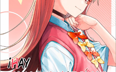 Makeine Heroine ga Oosugiru! (Makeine) Novela ligera en español